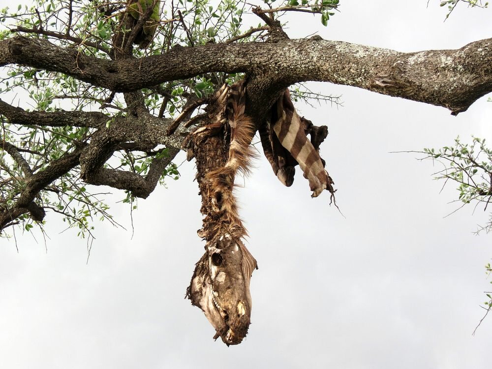 Click to See Next Image