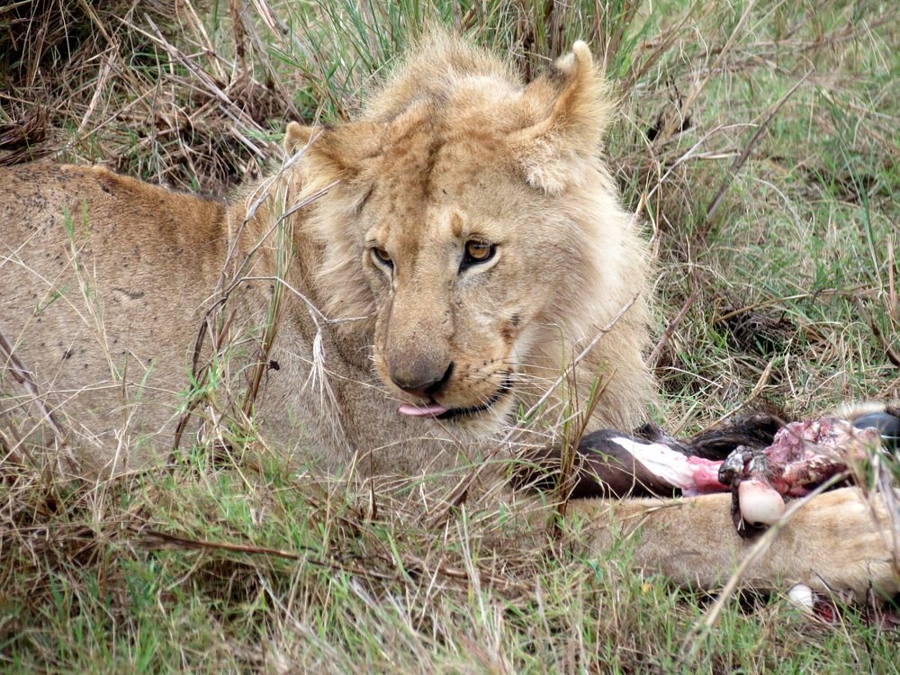 Click to See Next Image