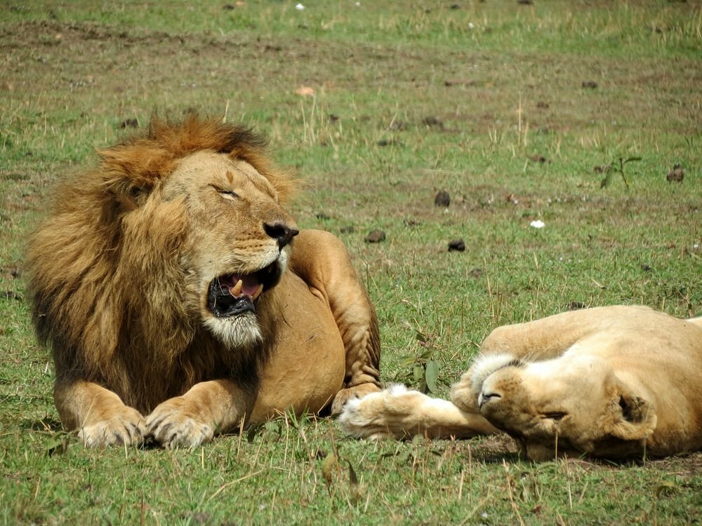 Click to See Next Image