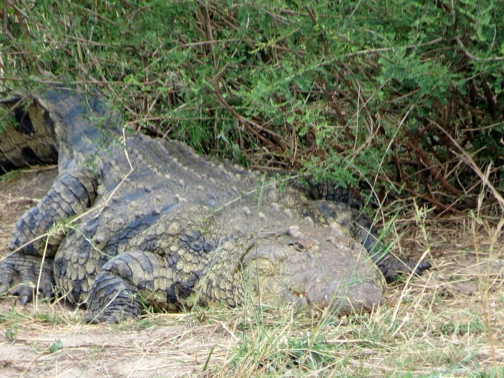 Click to See Next Image