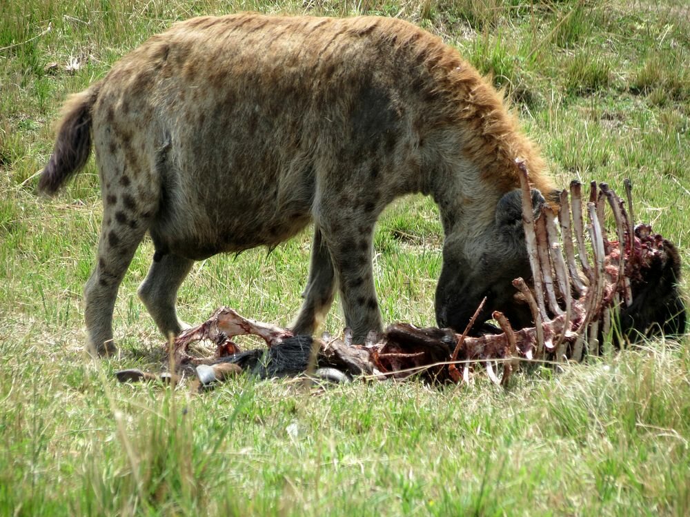 Click to See Next Image