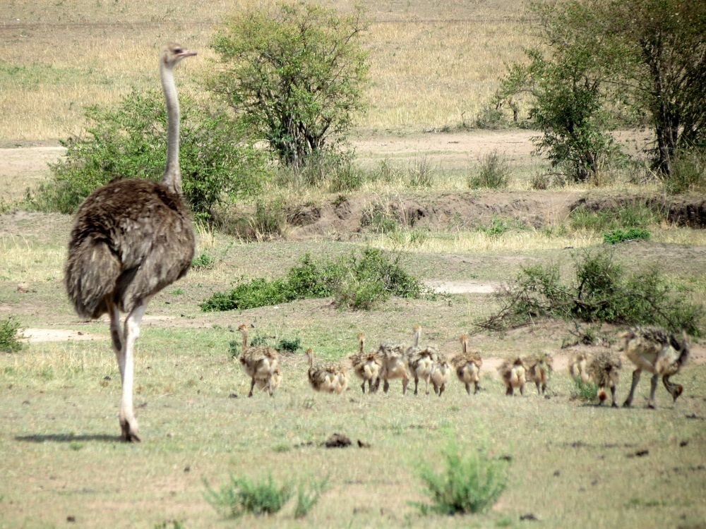 Click to See Next Image