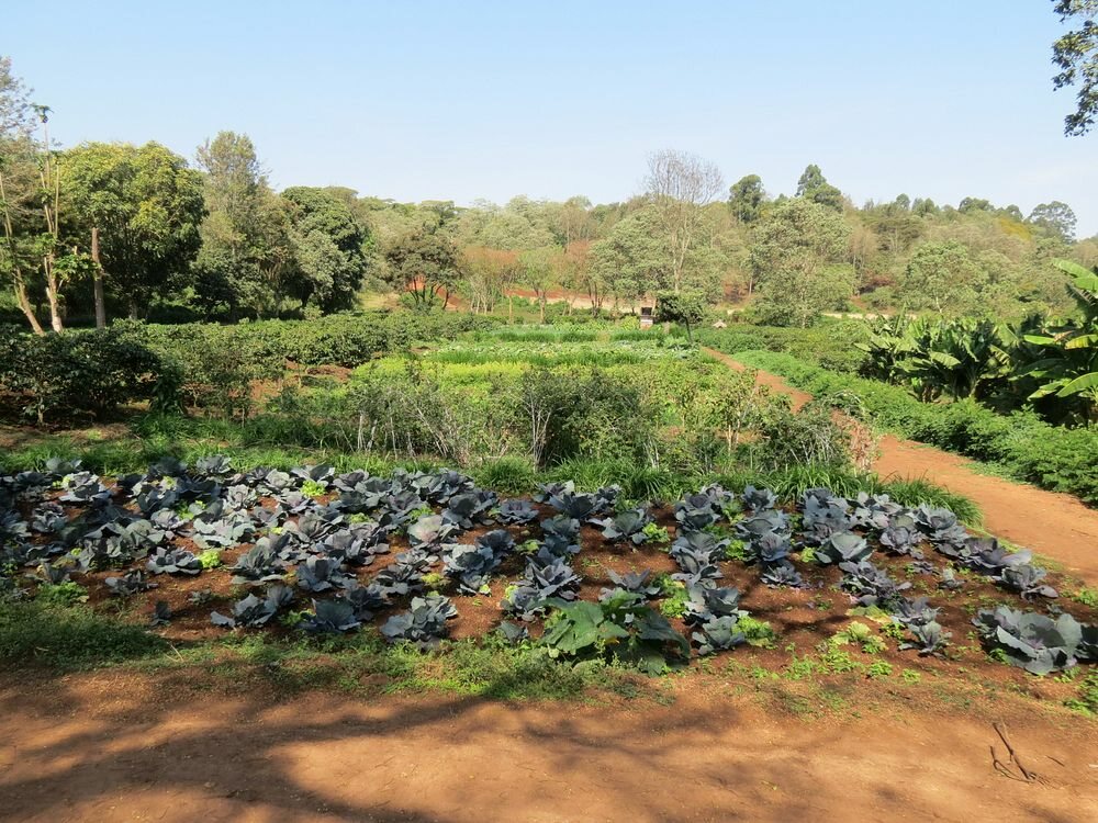 Click to See Next Image