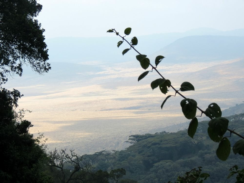 Click to See Next Image