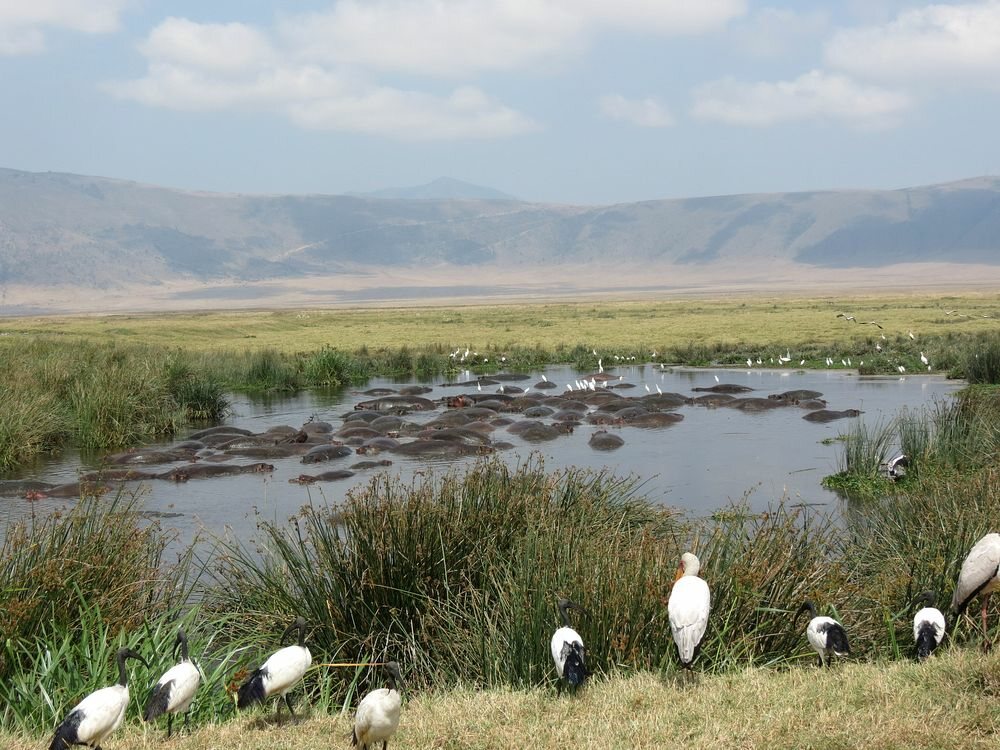 Click to See Next Image