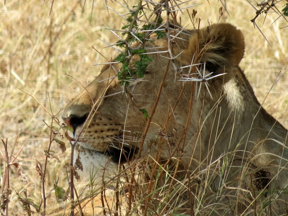 Click to See Next Image