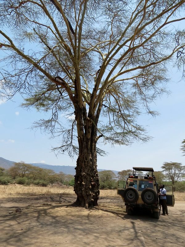 Click to See Next Image