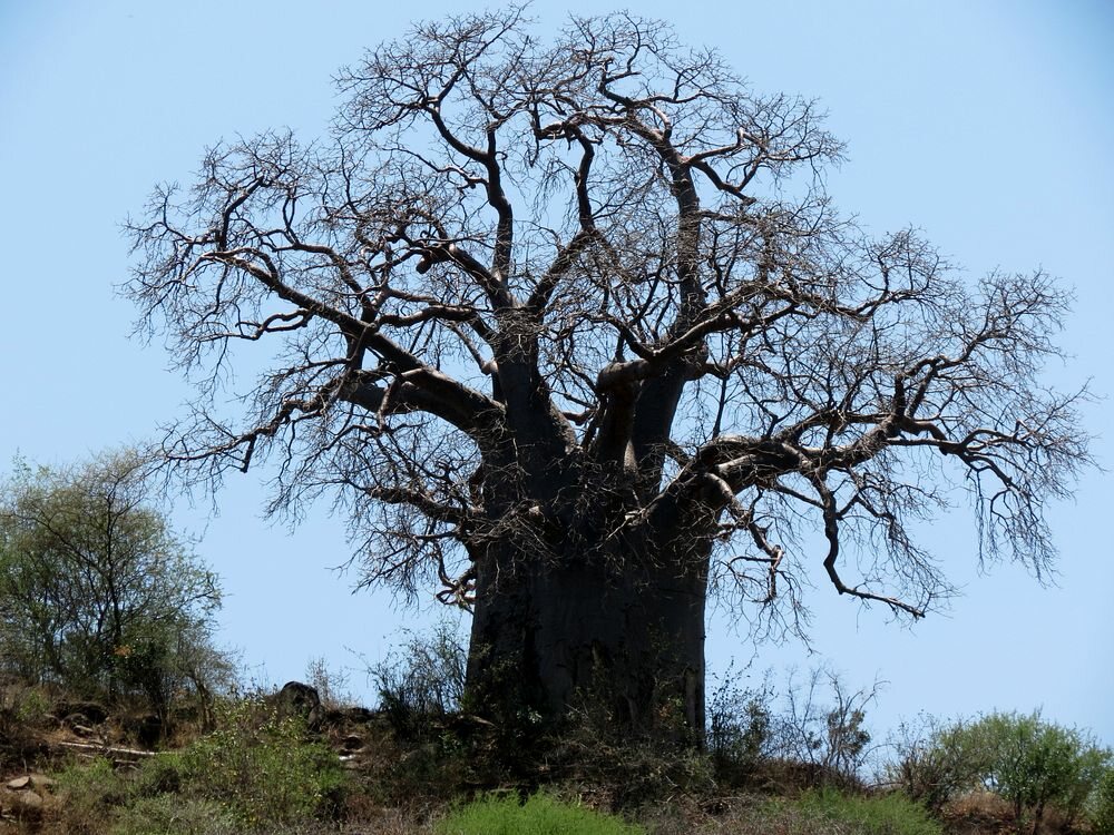 Click to See Next Image