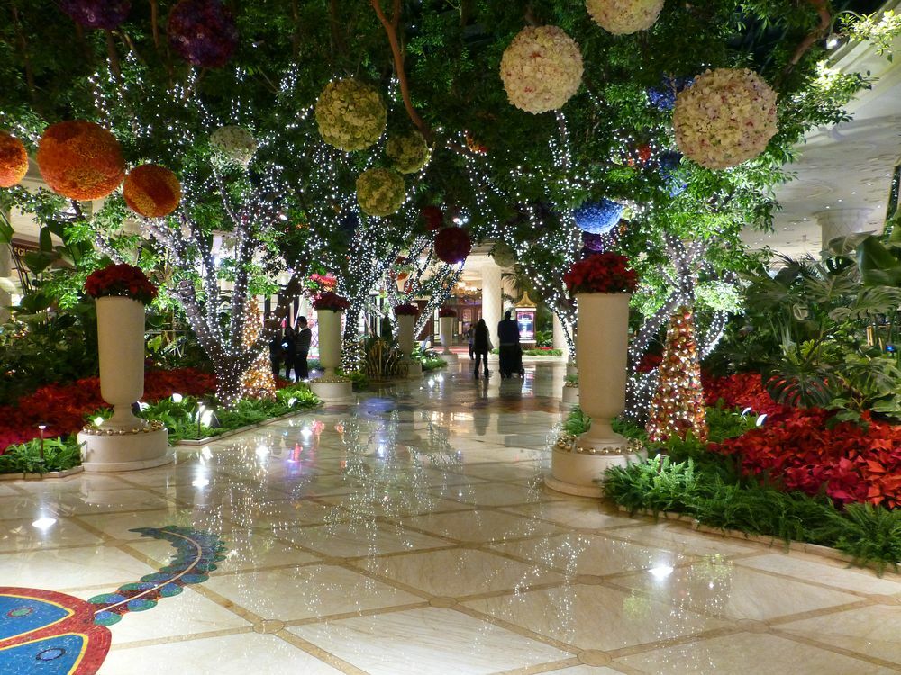 Click to See Next Image