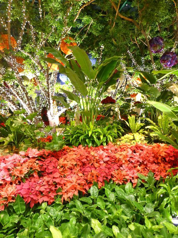 Click to See Next Image