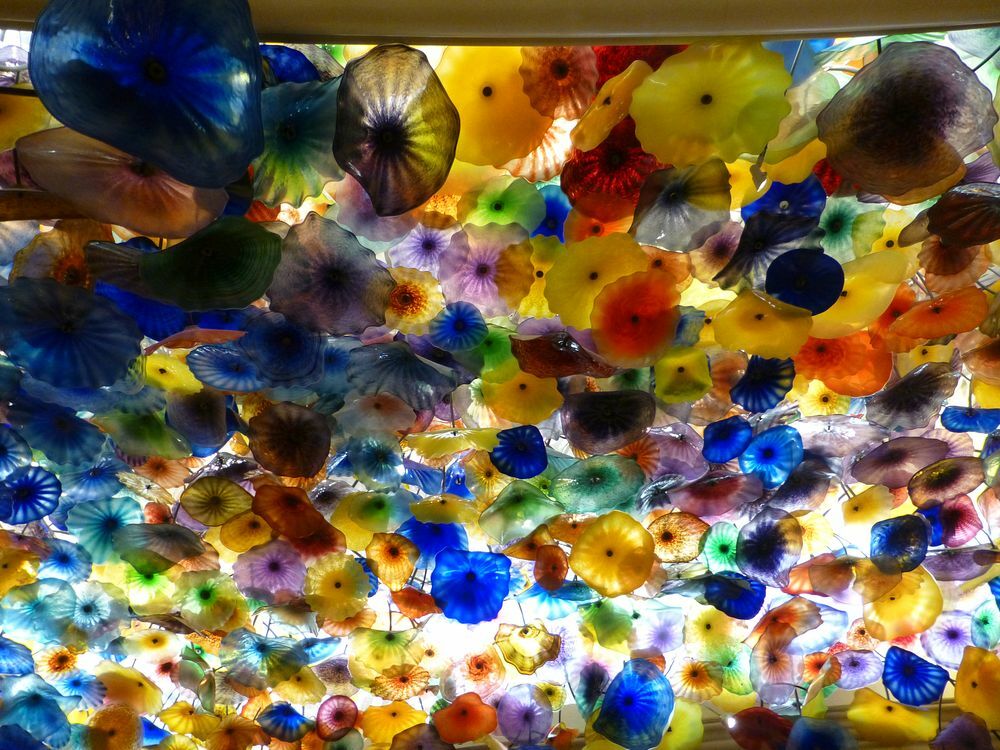 Click to See Next Image