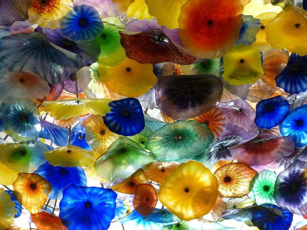 Click to See Next Image