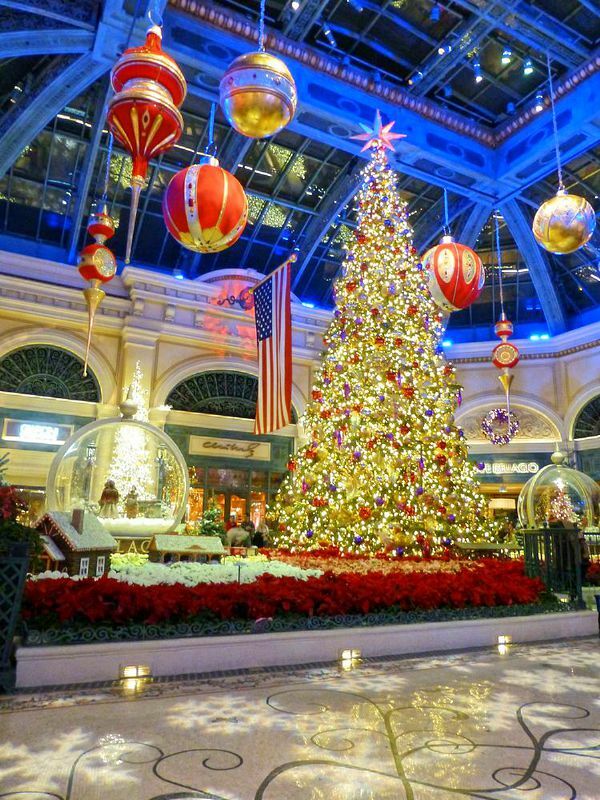 Click to See Next Image