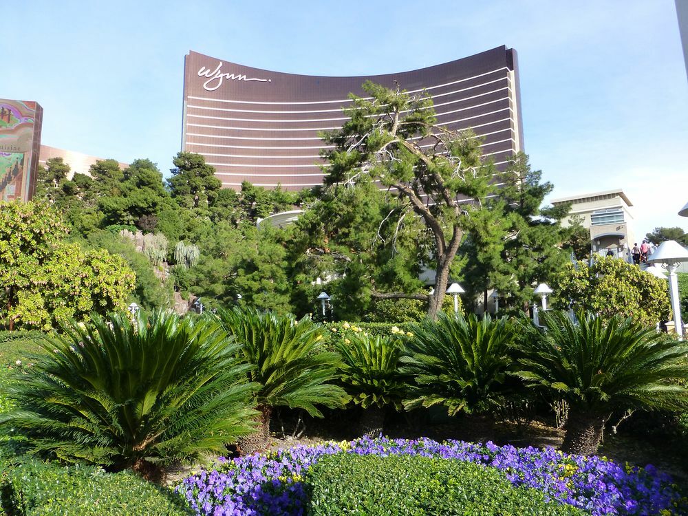 Click to See Next Image