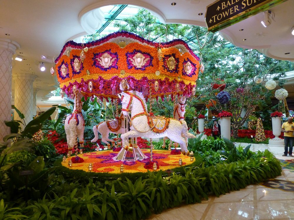 Click to See Next Image