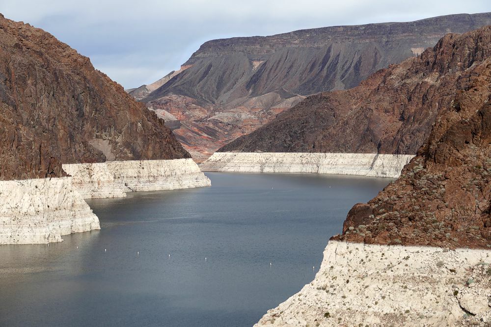 Click to See Next Image