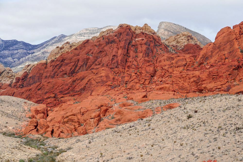 Click to See Next Image