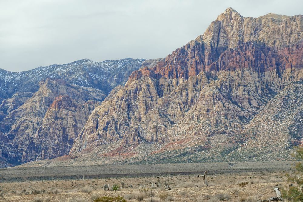 Click to See Next Image