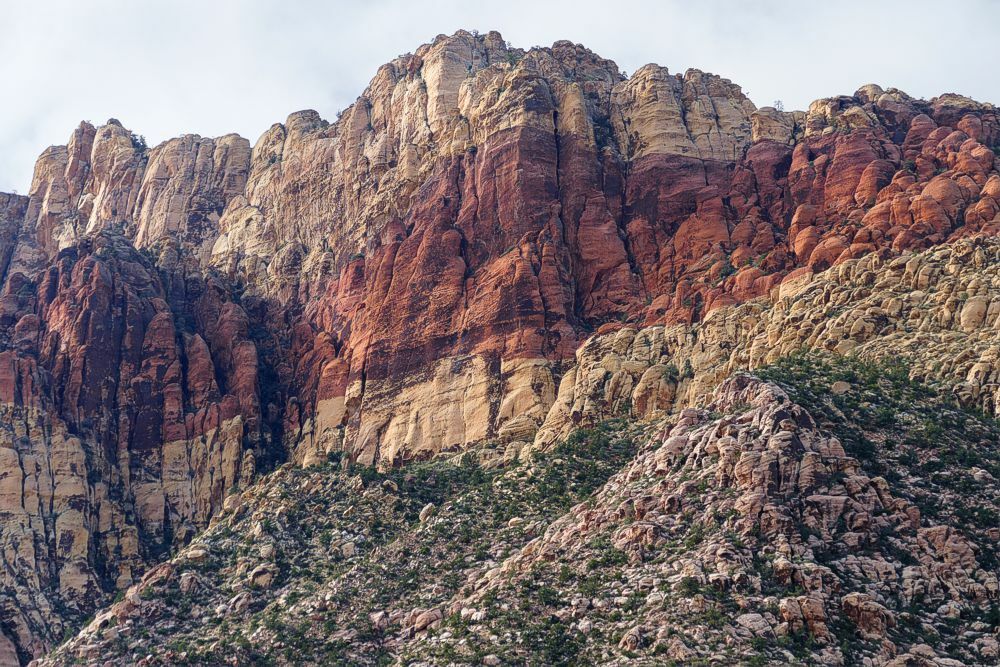 Click to See Next Image