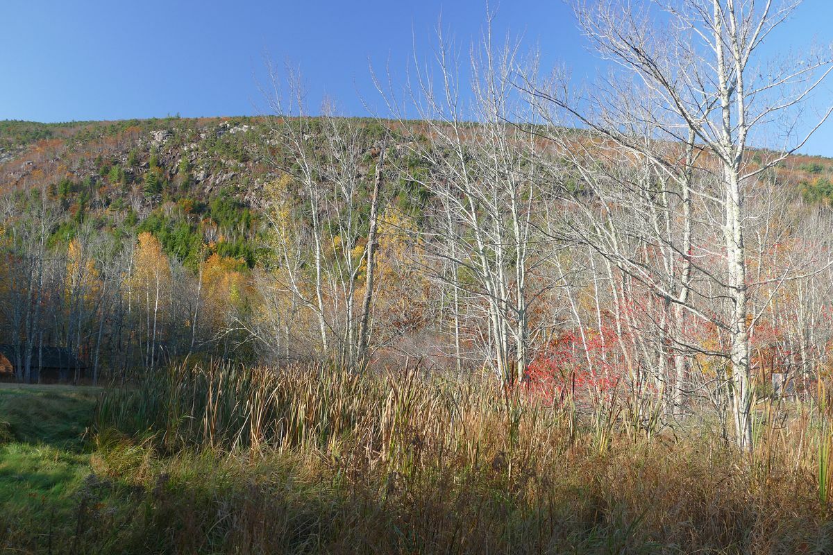 Click to See Next Image