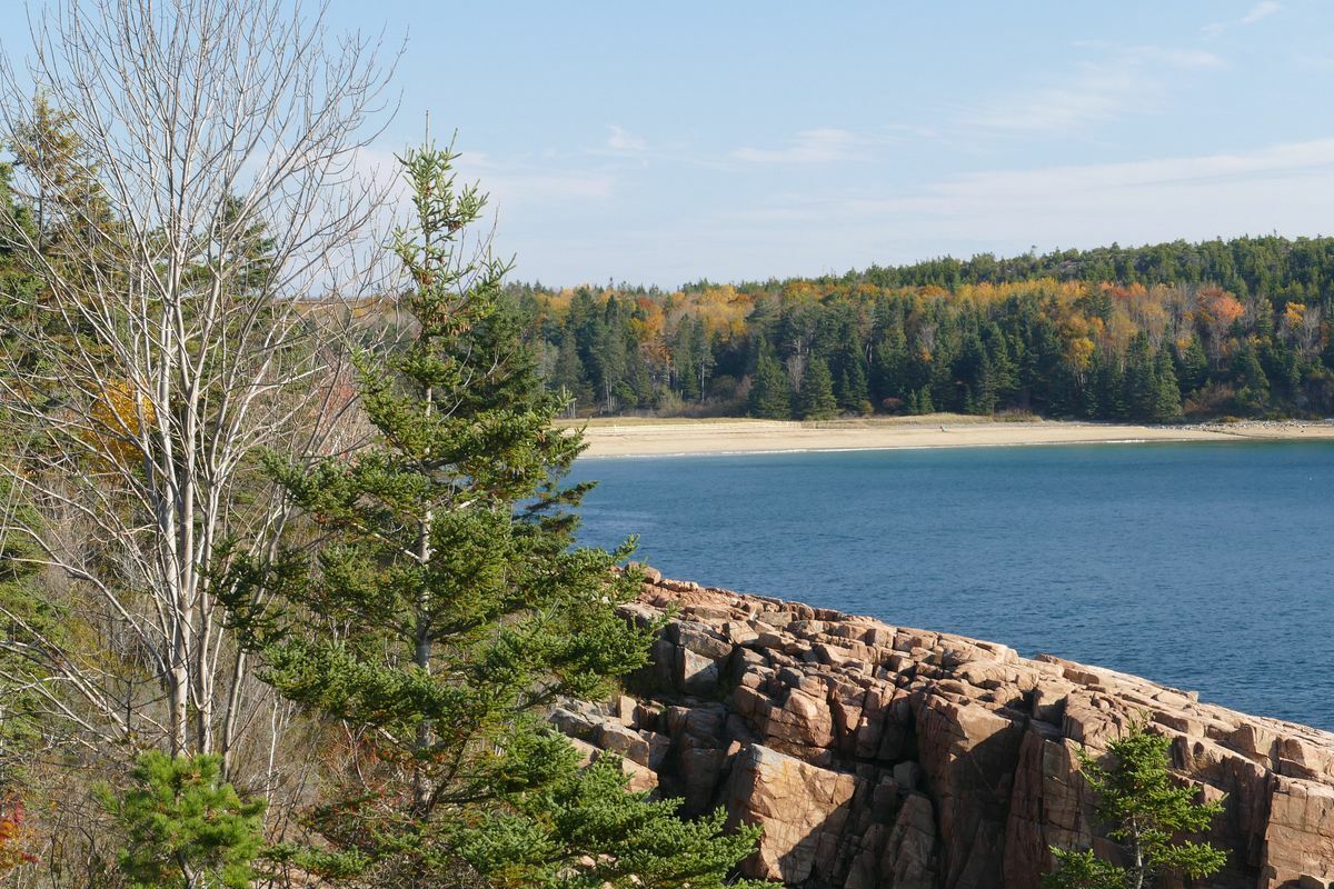 Click to See Next Image