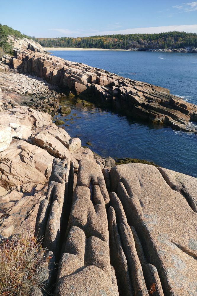 Click to See Next Image