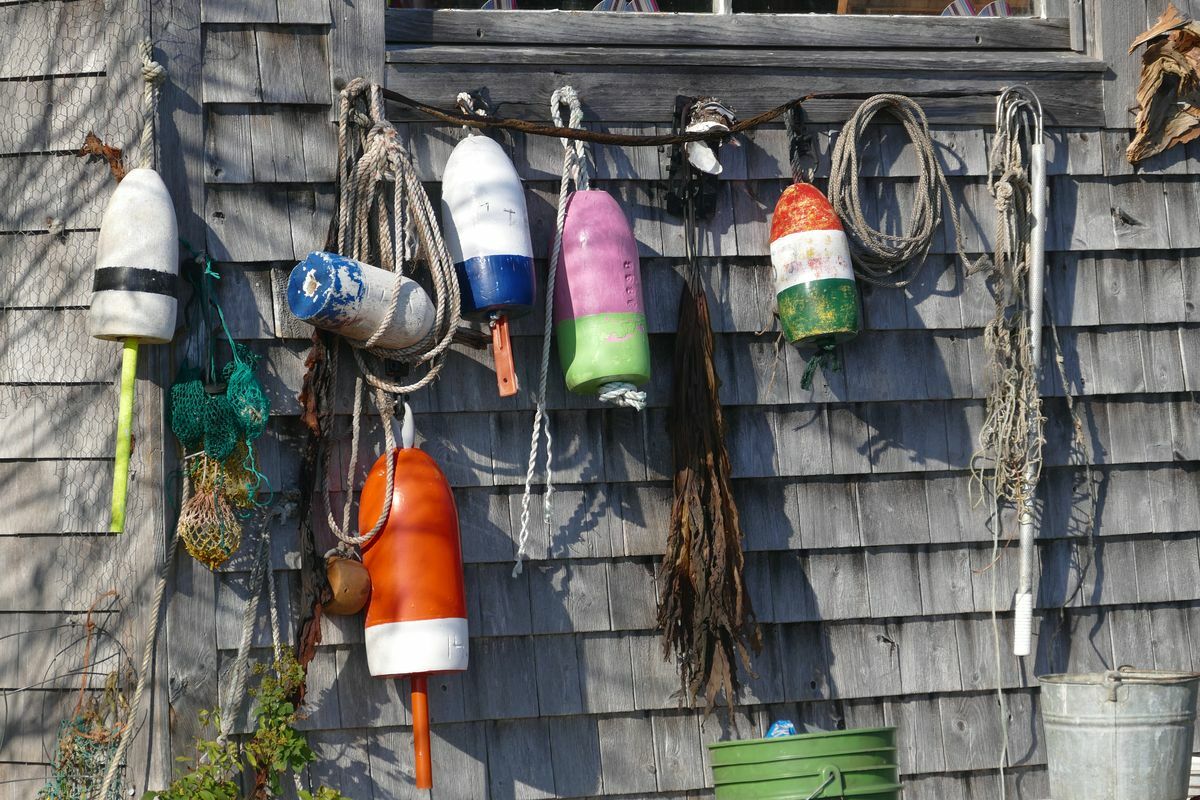 Click to See Next Image