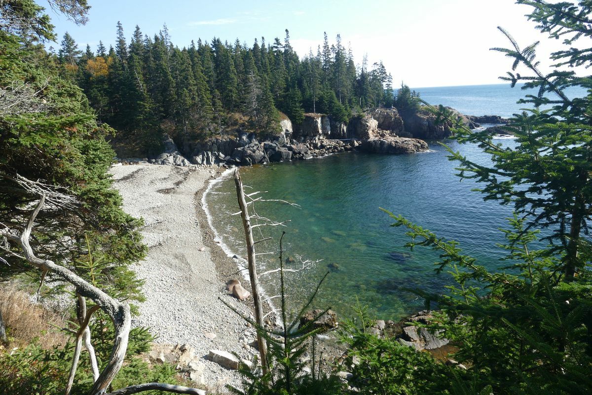 Click to See Next Image