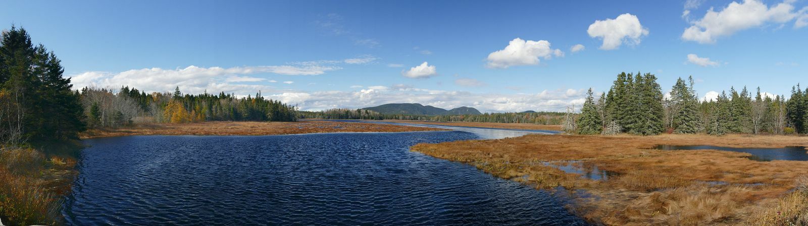 Click to See Next Image