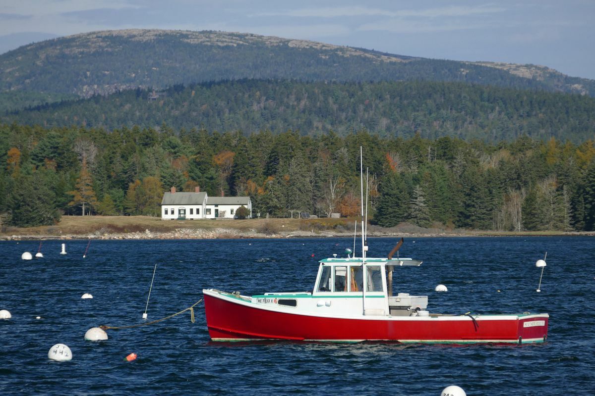 Click to See Next Image