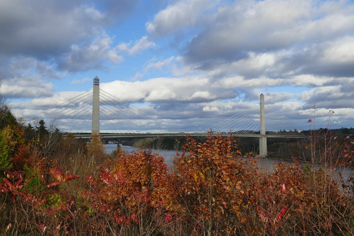 Click to See Next Image