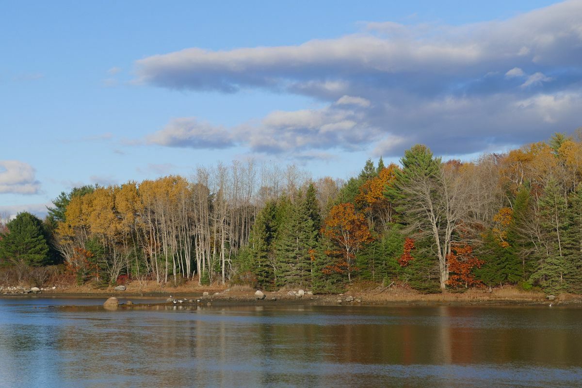 Click to See Next Image