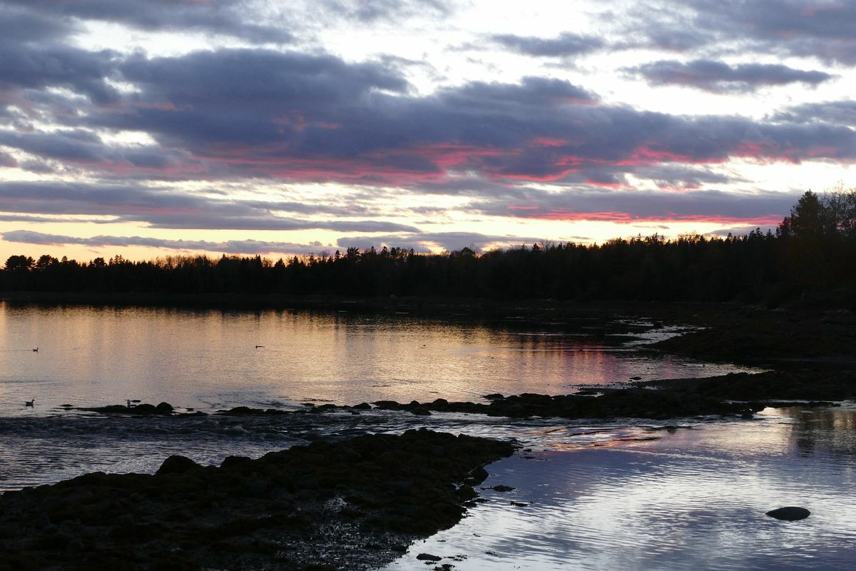 Click to See Next Image