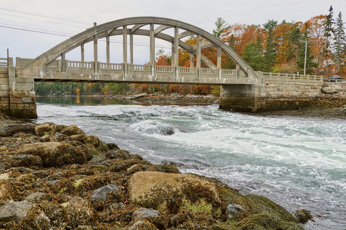 Click to See Next Image