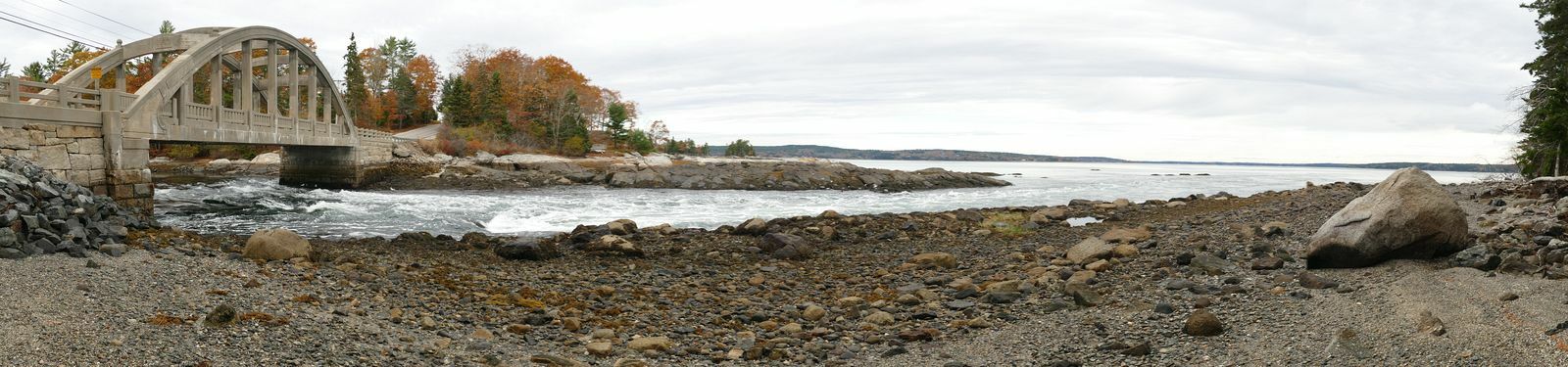 Click to See Next Image