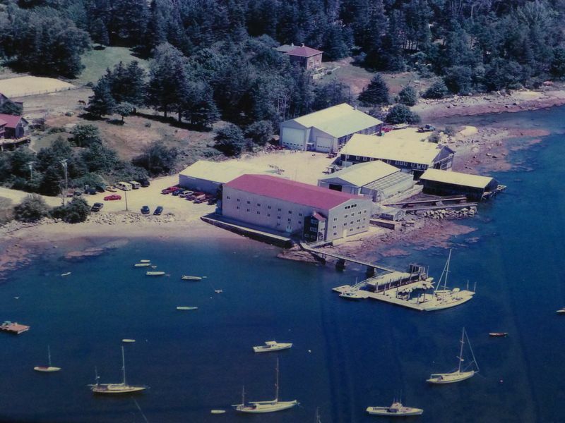 Click to See Next Image