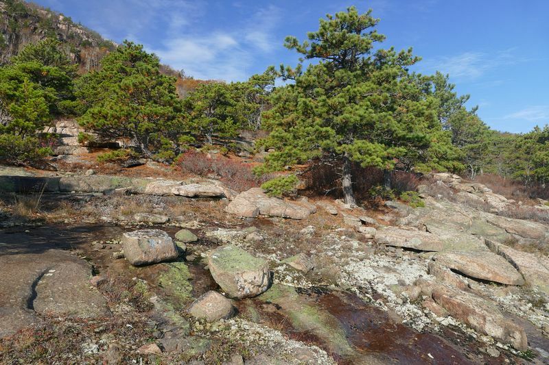 Click to See Next Image