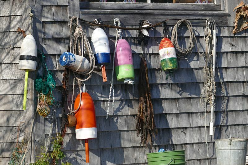 Click to See Next Image