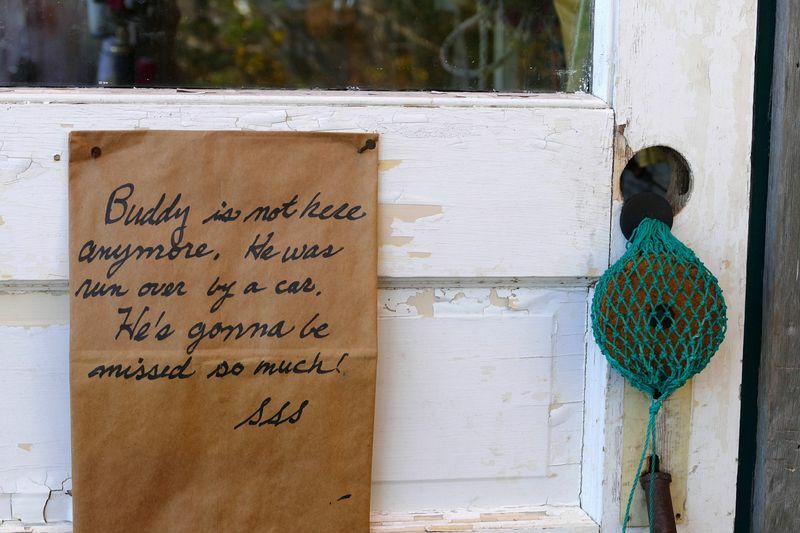 Click to See Next Image