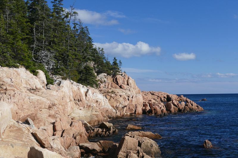 Click to See Next Image