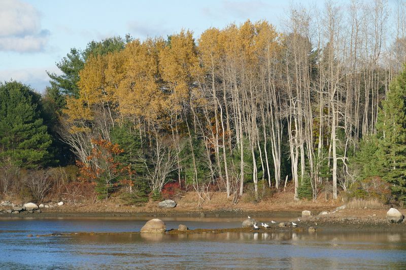 Click to See Next Image