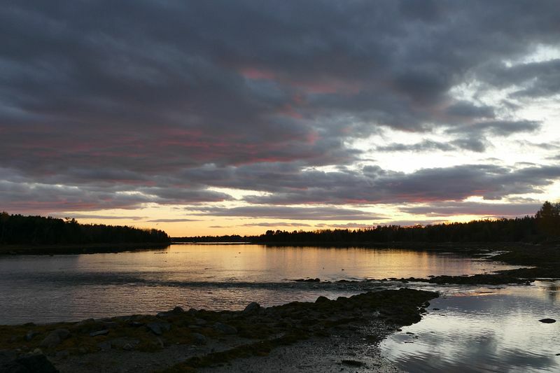 Click to See Next Image