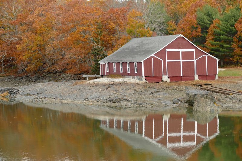 Click to See Next Image