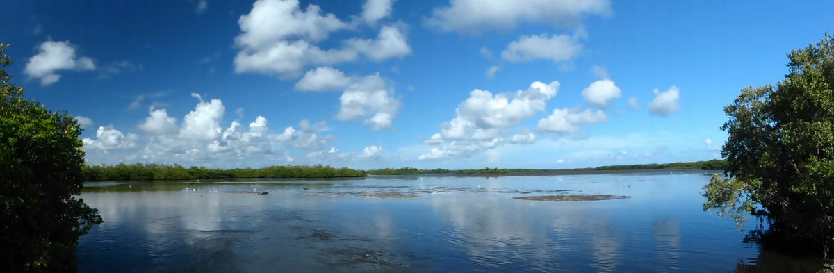 Click to See Next Image