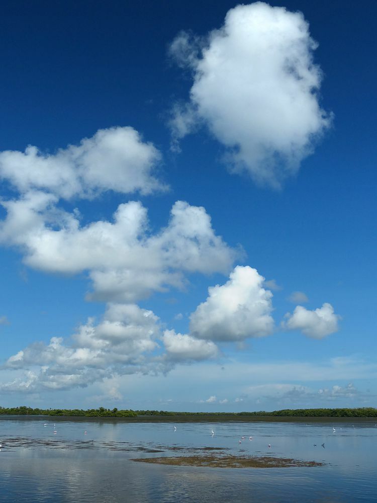 Click to See Next Image