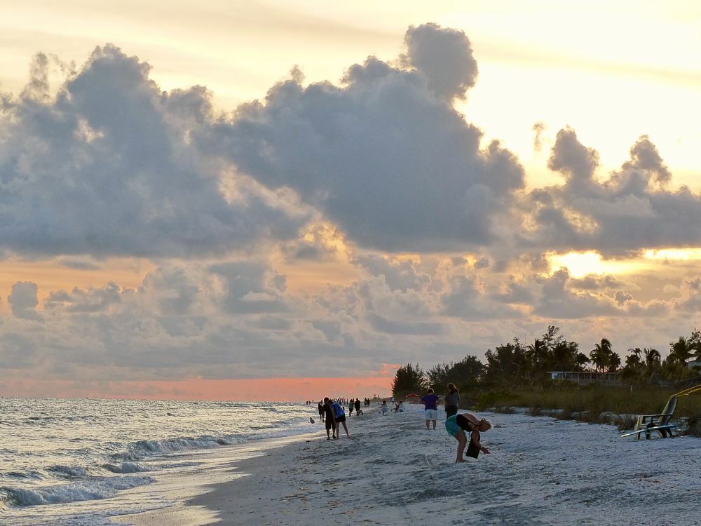 Click to See Next Image