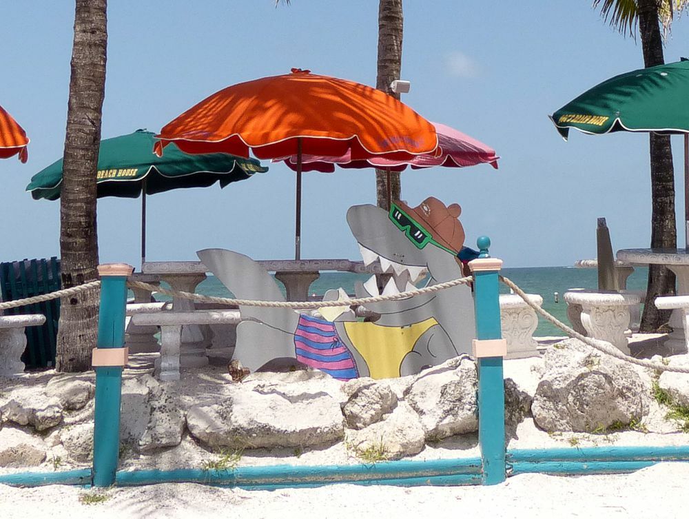 Click to See Next Image