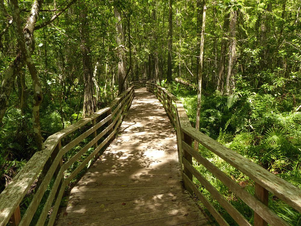 Click to See Next Image