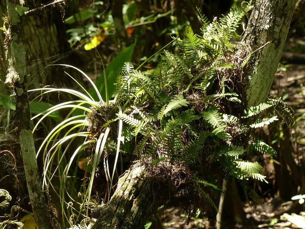 Click to See Next Image