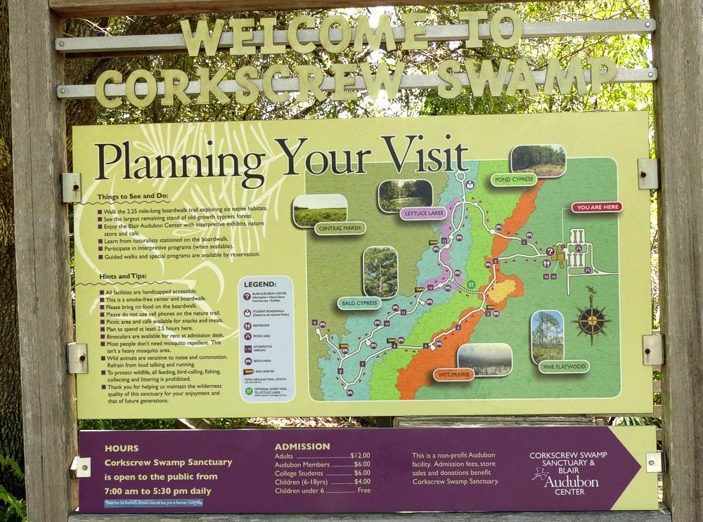 Click to See Next Image